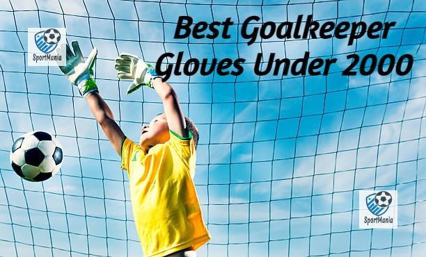 goalkeeper gloves