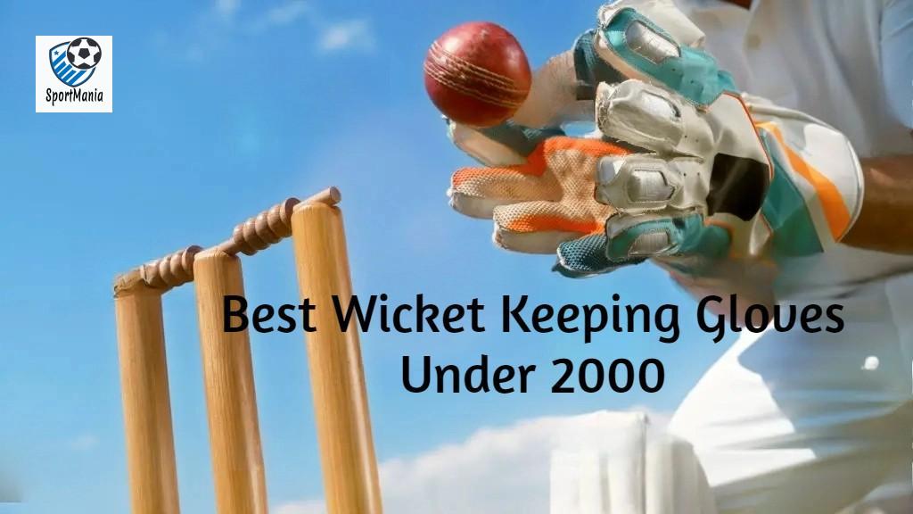 Wicket Keeping Gloves